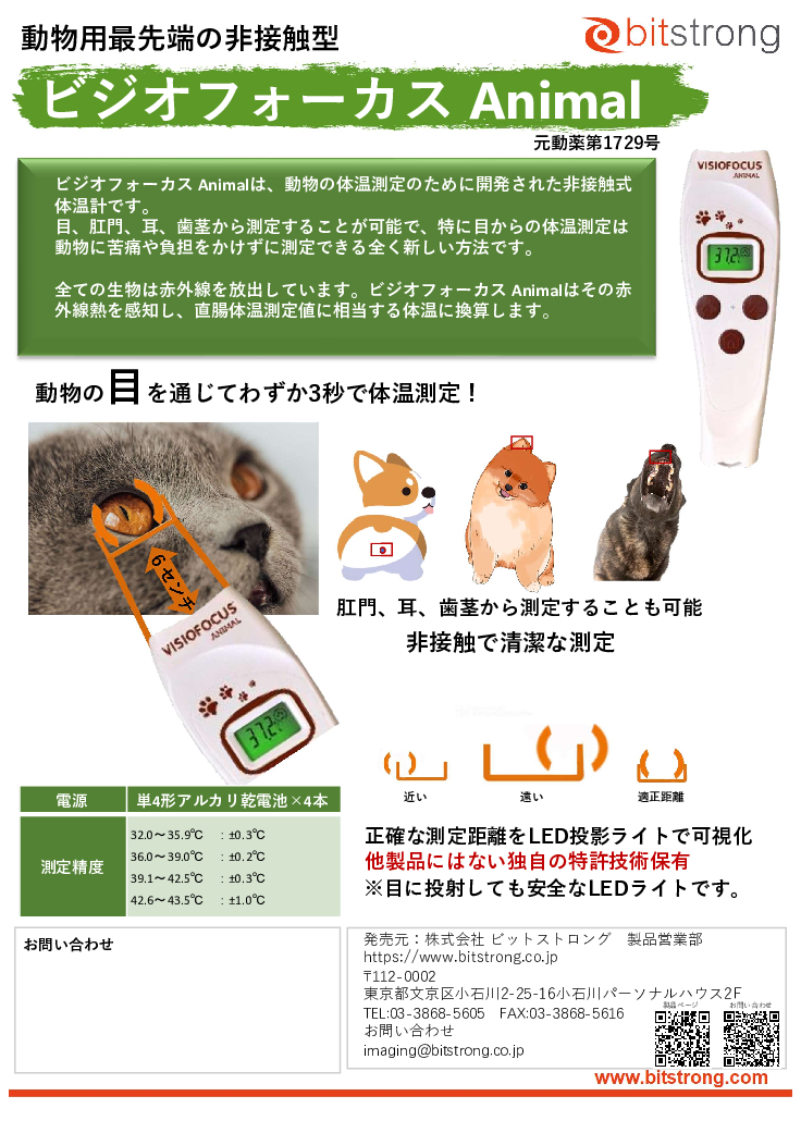 スライド画像