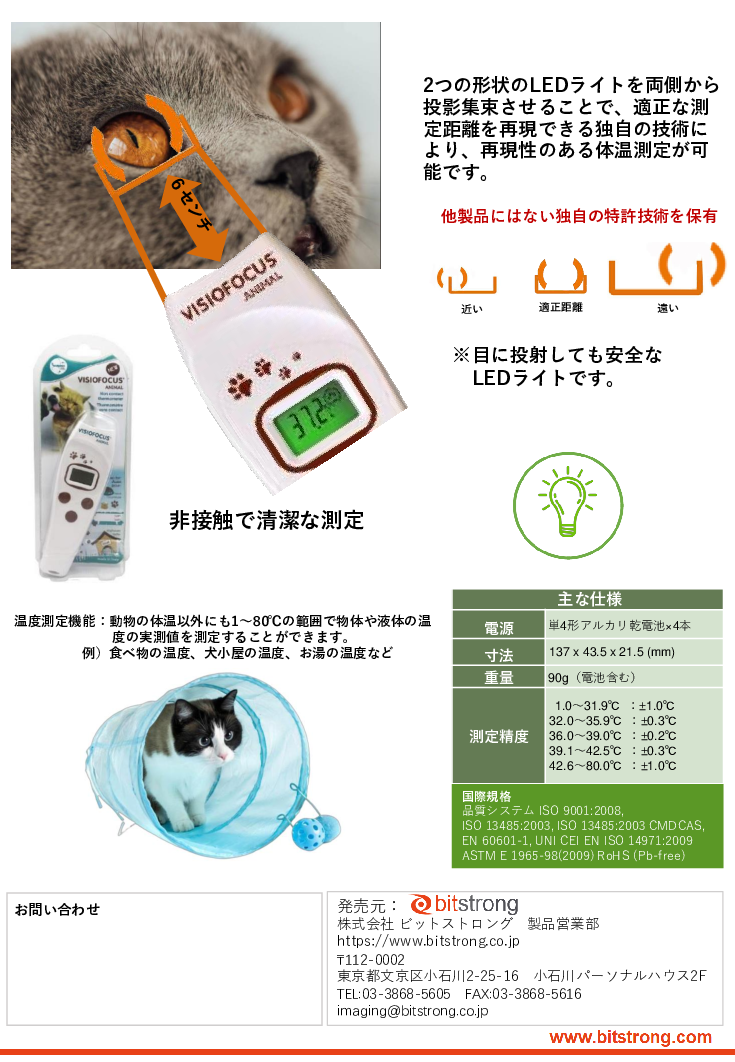 スライド画像