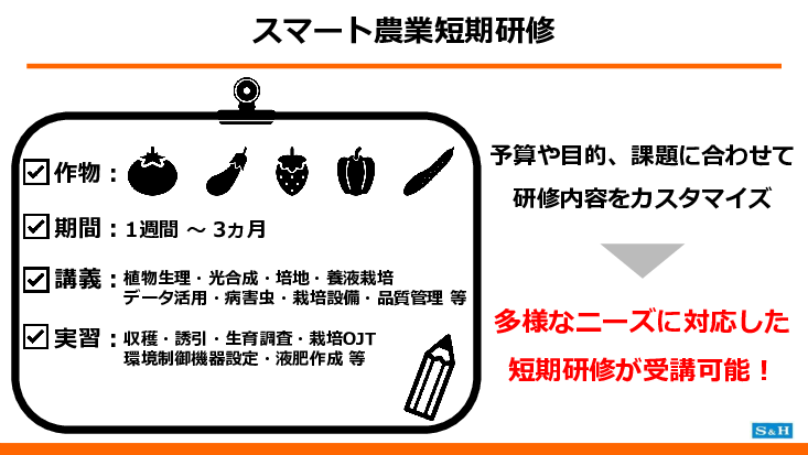 スライド画像
